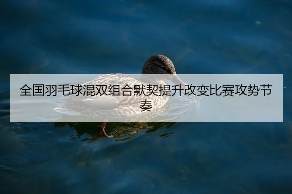 全国羽毛球混双组合默契提升改变比赛攻势节奏